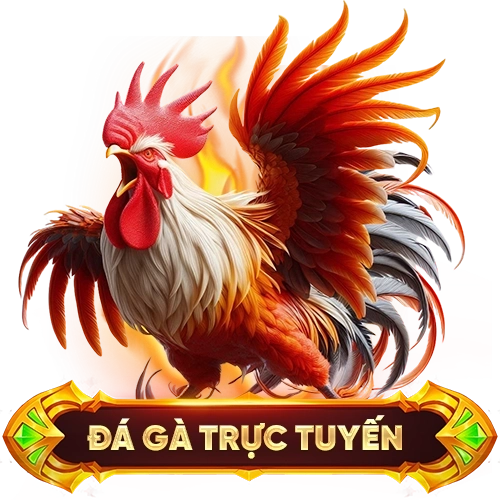 đá gà trực tuyến ABC8
